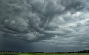 BMKG Pekanbaru Perkirakan Cuaca Riau Diguyur Hujan  - Pekanbaruexpress