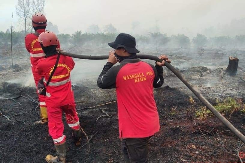 Karhutla di Pelintung Dumai Berhasil Dipadamkan Petugas Gabungan