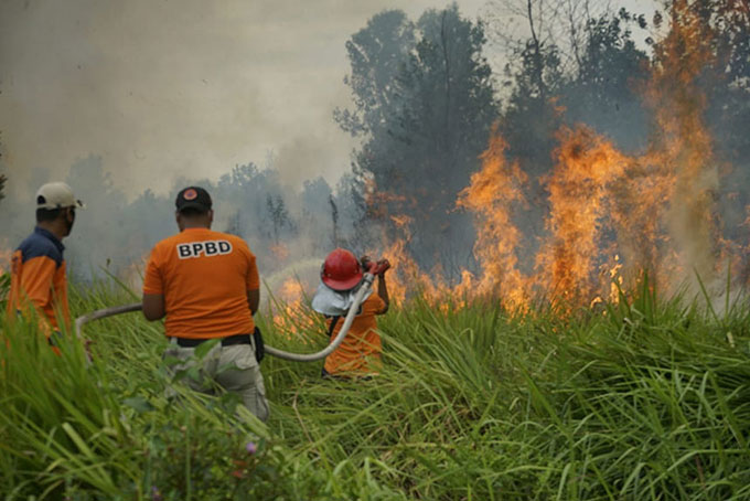 Sejak Januari 2023, 11 Hektare Lahan Terbakar di Pekanbaru