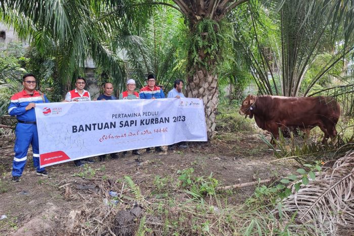 Pertamina Subholding Upstream Salurkan Ratusan Hewan Kurban di Seluruh Indonesia - Pekanbaruexpress