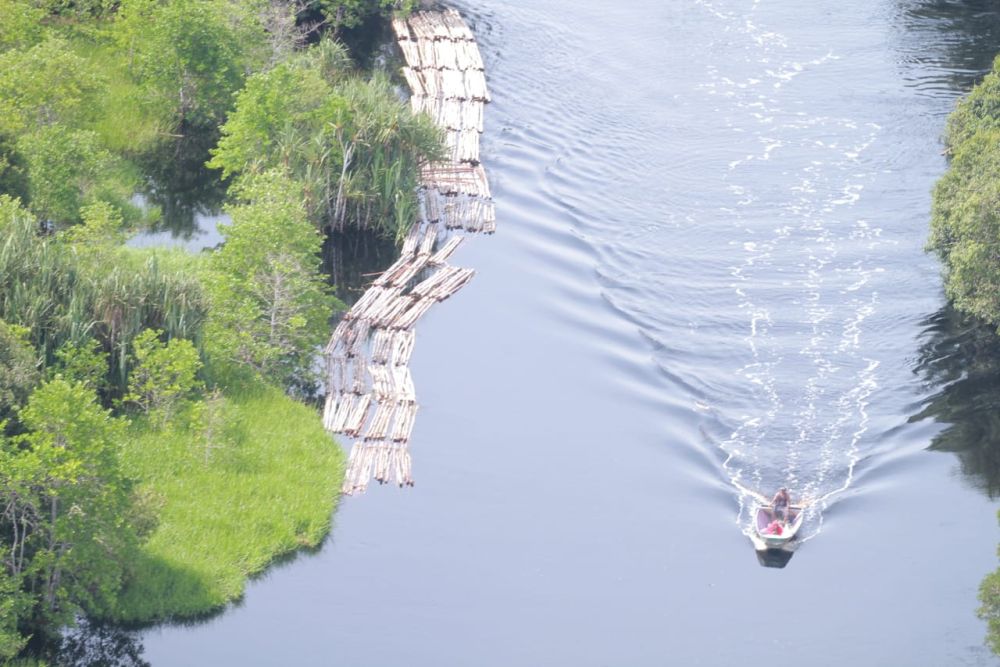 Polda Riau Tetapkan 16 Orang Tersangka Ilegal Logging - Pekanbaruexpress