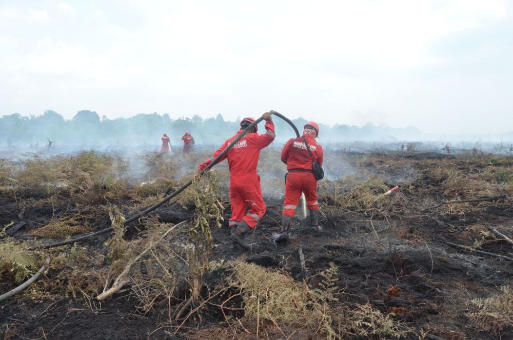 2,000 hectares of land burned in Riau until October 8 2023 - Pekanbaruexpress
