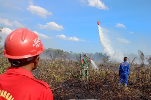 Dua Bulan Terakhir, Luas Lahan Terbakar di Riau 19,10 Hektare