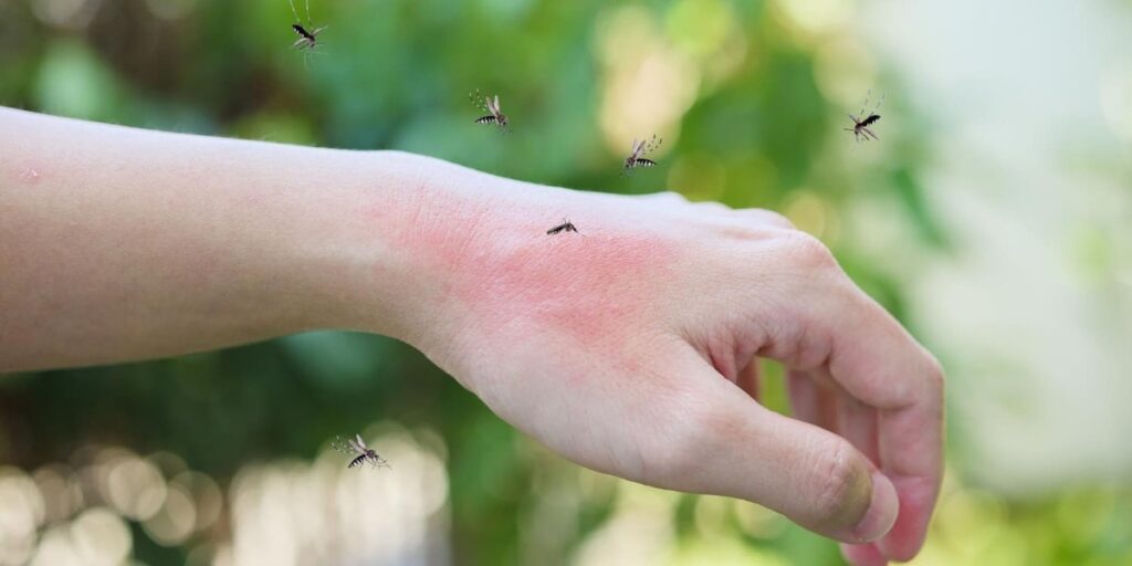 Pekanbaru dan Dumai Penyumbang Kasus DBD Terbanyak  Riau