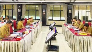 Pj Bupati Kampar Laporkan Kinerja Triwulan II ke Kemendagri