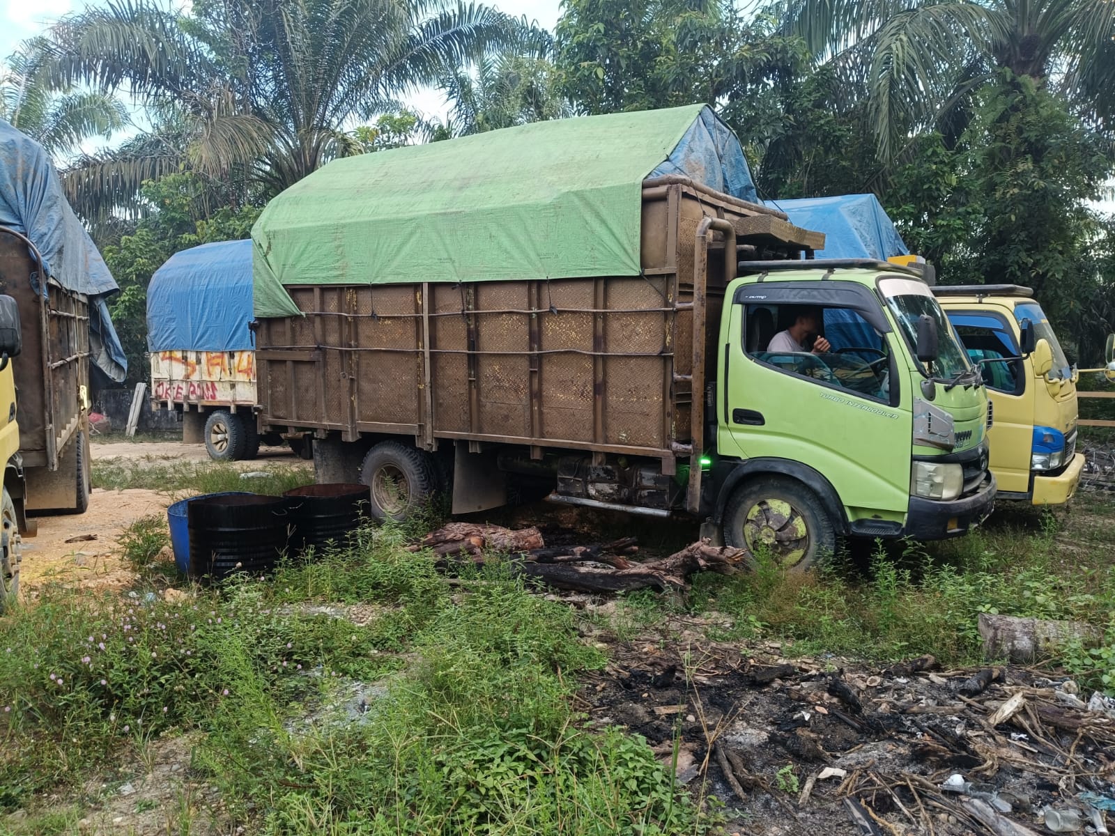 Empat Truk Memuat Kayu Ilog Diamankan, Pemilik Kabur 