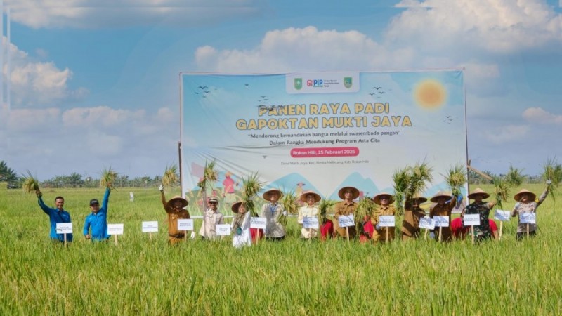 Rohil Siap Jadi Sentra Produsen Beras di Riau