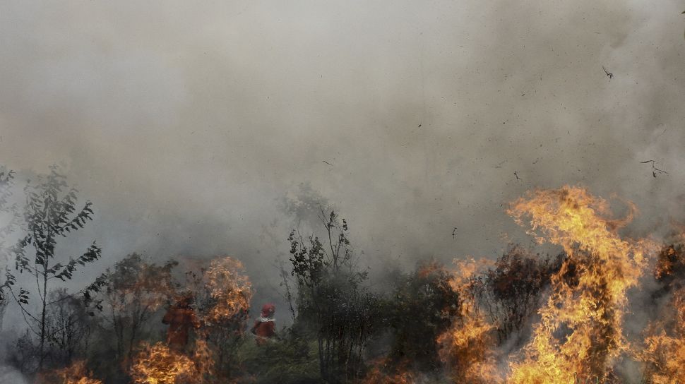 Cuaca Ekstrem di Riau, 10 Titik Panas Terdeteksi 