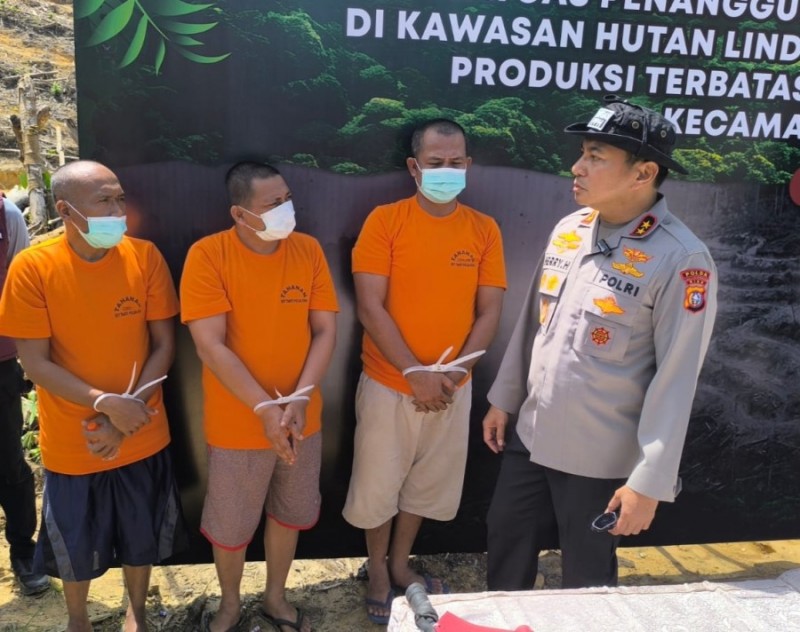 Merambah Hutan Lindung di Kampar, 4 Orang Ditangkap Polda Riau