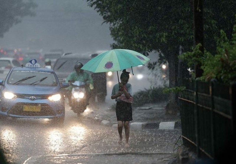 Riau Diprediksi Berpotensi Hujan Lokal Sepanjang Hari