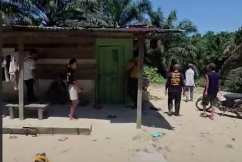 Pasca Penyerangan Gajah pada Bocah,BBKSDA Riau Turunkan Tim Mitigasi