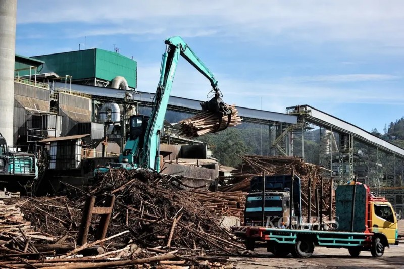 Jejak Kontroversi Lingkungan dan Sejarah Kepemilikan Toba Pulp Lestari  