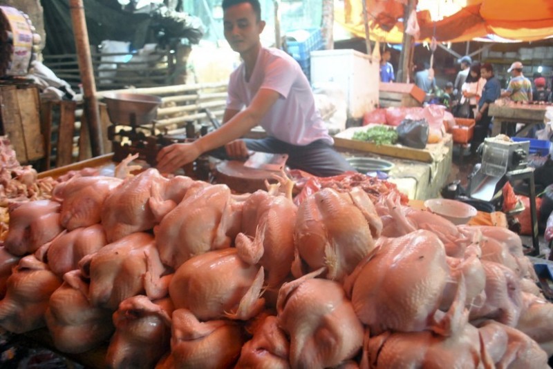 Harga Ayam Potong di Pekanbaru Naik Drastis Tembus Rp37 Ribu per Kg