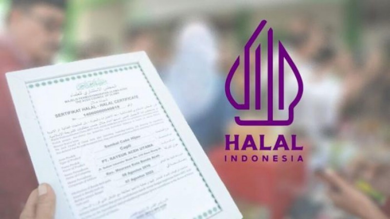 Sumbar Menancap Gas Bangun Ekonomi Halal, Puluhan Ribu UMK Disiapkan Masuk Pasar Global
