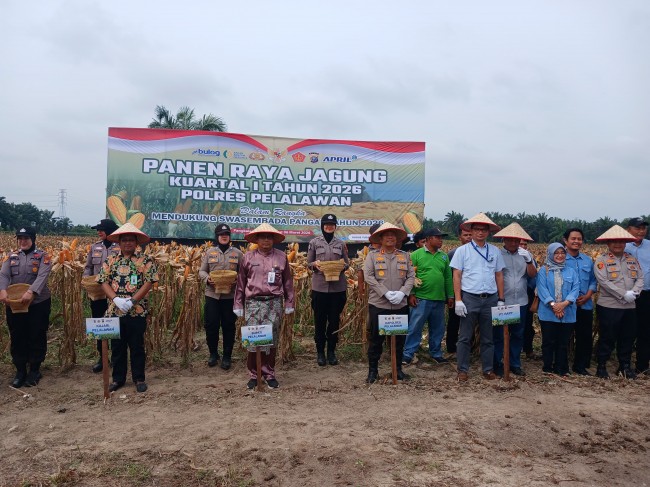 Sekda Pelalawan Hadiri Panen Raya Jagung Polres, Hasilkan 15 Ton untuk Dukung Ketahanan Pangan