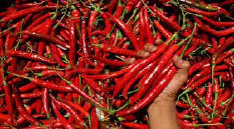 Cabe Merah Penyumbang Inflansi Tertinggi di Pekanbaru