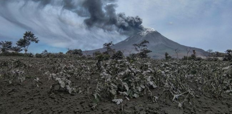 Guguran Abu Gunung Sinabung Capai Jarak 1.000 Meter