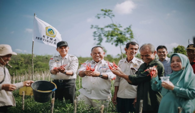 Panen Cabe di Kebun Milenial, Ketua KTNA Riau Ajak Anak Muda Bertani
