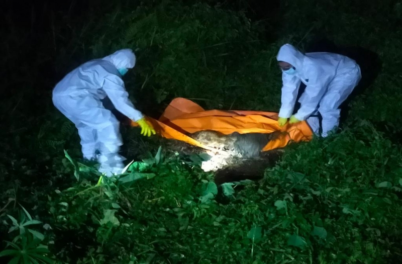 Gempar, Kerangka Mayat Manusia Ditemukan di Dusun I Pandau Makmur Desa Pandau Jaya