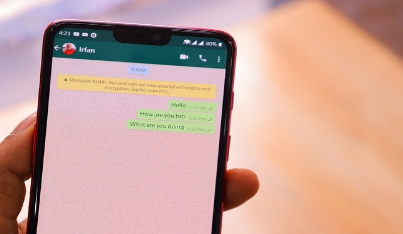 Centang Satu pada WhatsApp, Artinya Nomor Aktif  atau Diblokir